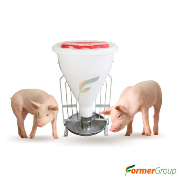 Comedero Cerdo Automático Tolva 100kg