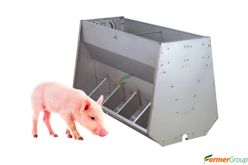 Comedero Para Cerdos Lechones Automático En Acero Doble Cara Preceba