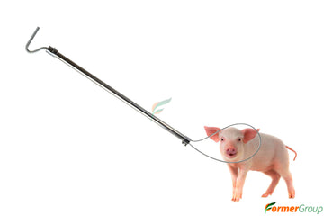 Sujetador Cerdo Ovinos Acero