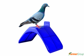 Posadero Percha Para Aves
