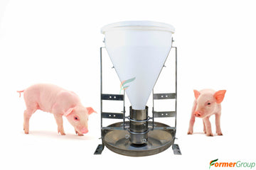 Comedero Cerdo Automático Tolva 30kg
