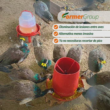 Gafas Lentes Para Gallinas O Pollos