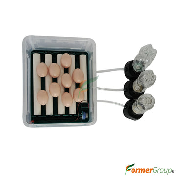 Incubadora 15 Huevos Volteo Automático 110v