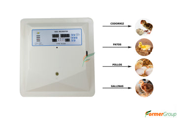 Incubadora 56 Huevos Volteo Automático