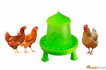 Comedero Gallinas Pollos Codornices con Soporte