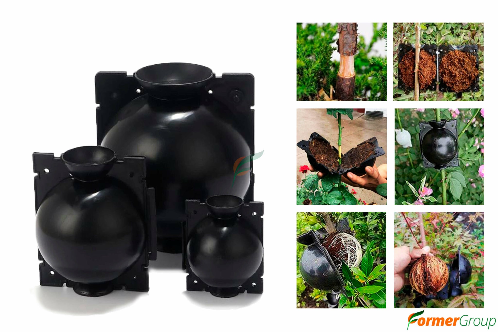 Caja De Enraizamiento Para Siembra De Plantas